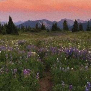 Meet your Posher, Vicki